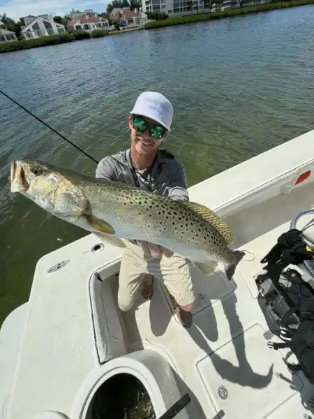 Angler holding a speckled trout caught during an inshore fishing trip in Sarasota, Florida on September 5, 2026